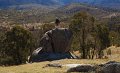 bethy at tidbinbilla